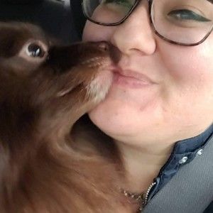 Meet your Posher, Drea